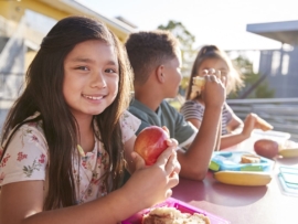 Consultoria Nutricional Em Escolas