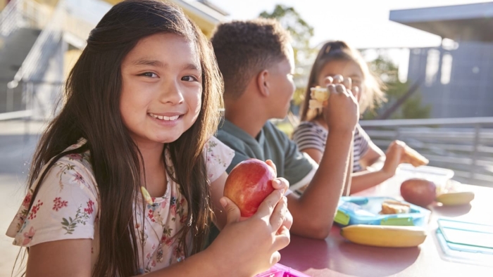 Consultoria Nutricional Em Escolas