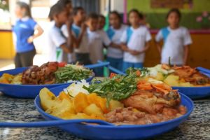 Consultoria Nutrição Escolar