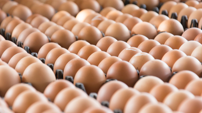 Eggs from chicken farm in the package that preserved for sale