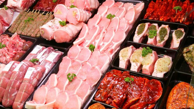 recomendacoes-de-boas-praticas-de-fabricacao-para-industria-de-carnes