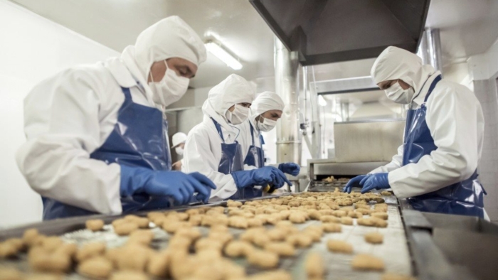 HACCP na indústria de alimentos - NUTRI MIX ASSESSORIA E CONSULTORIA EM HACCP