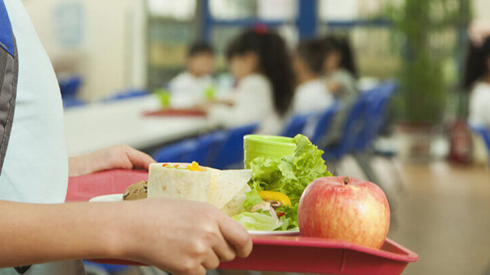 Dinâmicas de educação nutricional para escolas