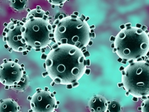 coronavírus e segurança dos alimentos