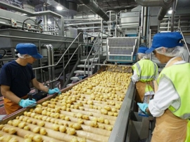 Controle Higiênico Sanitário dos Alimentos