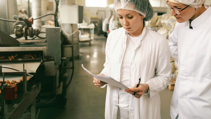 Funcionários participando de treinamento prático sobre Boas Práticas de Fabricação (BPF) em uma linha de produção alimentícia.