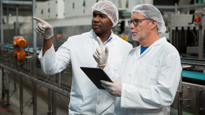 auditoria interna em alimentos